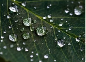 Une prise en compte de l'individu dans sa globalité et dans son environnement